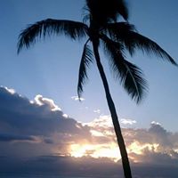 Larry Finley Photo 25