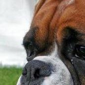 William Madison Photo 26