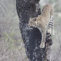 Tracey Lowe Photo 15