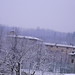 Tina Neve Photo 14