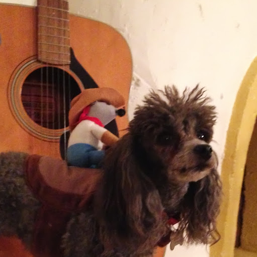 Lori Webster Photo 22