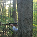 Alicia Griffith Photo 39