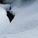 Steven Lanham Photo 34