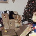 David Botts Photo 16