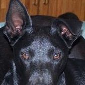 Janice Schilling Photo 6