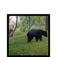 Jerry Nickell Photo 16