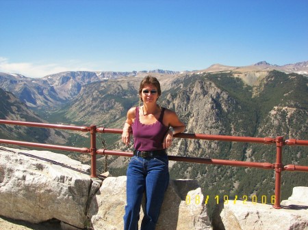 Cindy Brandon Photo 27