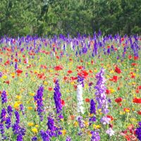 Christine Creech Photo 9