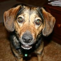 Maggie Nichols Photo 31 Maggie Nichols Photo 31