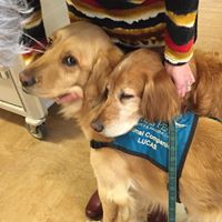 Janice Mann Photo 19