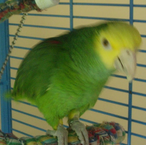 Joanne Callahan Photo 23