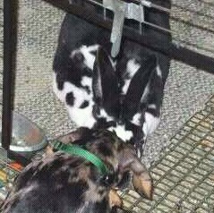 Carla Palmer Photo 17