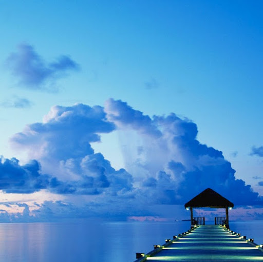 Timothy Grubbs Photo 8