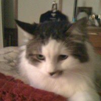 Cynthia Pacheco Photo 14