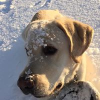 William Dailey Photo 16