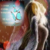 Elizabeth Fanelli Photo 19