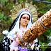 Dolores Becerra Photo 7