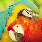 Samantha Mallon Photo 1