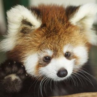 Anna Mccreery Photo 8