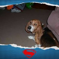 Kathy Buck Photo 22
