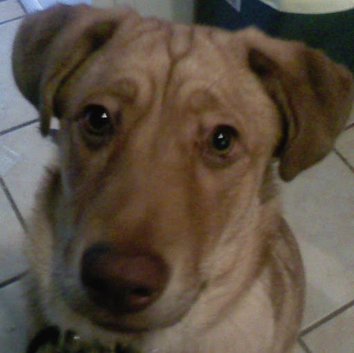 Shelly Kennedy Photo 15