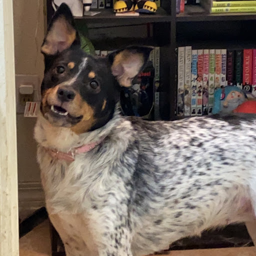 Susan Christiansen Photo 29