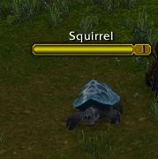 Gregory Field Photo 3