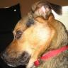 Christine Hooker Photo 7