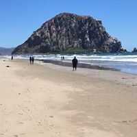 Chris Hall Photo 51 Chris Hall Photo 51