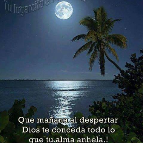 Silvia Jimenez Photo 13