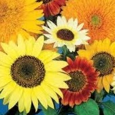 Barbara Matheny Photo 6