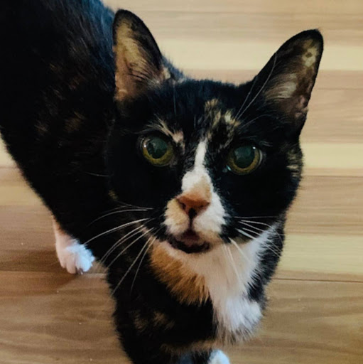 Betty Ross Photo 39 Betty Ross Photo 39