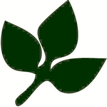 Sean Thompson Photo 23