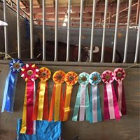Kristina Pruitt Photo 27