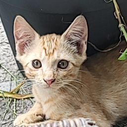 Kelly Moore Photo 31