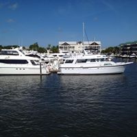 Patrick Hennessy Photo 42