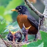 Robin Schmitt Photo 6