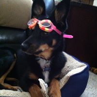 Michele Dillon Photo 23