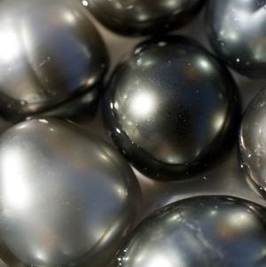 Patrice Henderson Photo 34