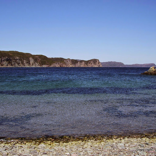 Joyce Lambert Photo 27