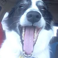 Julie Clifton Photo 30