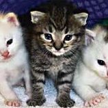 Eddie Duran Photo 29