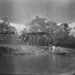 Samuel Meek Photo 19