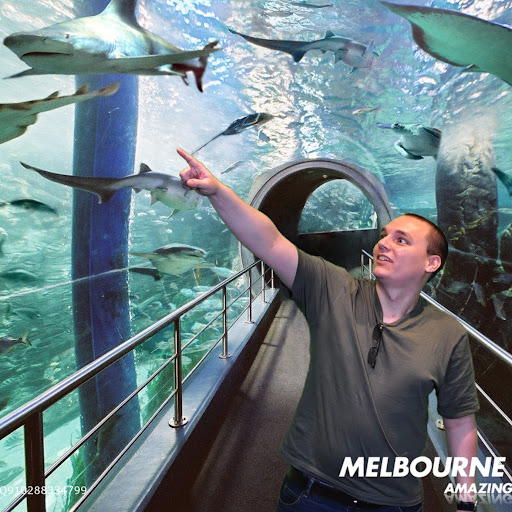 Christopher Mcgrath Photo 29