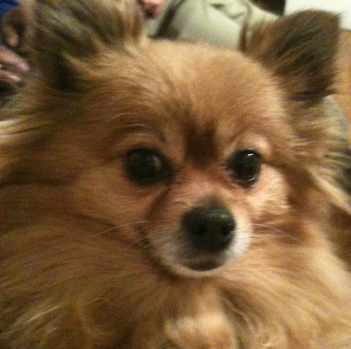 Bob Anthony Photo 25