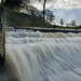 Clayton Weir Photo 5