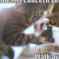 Bobbie Russell Photo 17