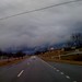 Sandy Whaley Photo 26