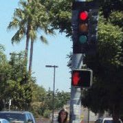 Tracey Larkins Photo 4