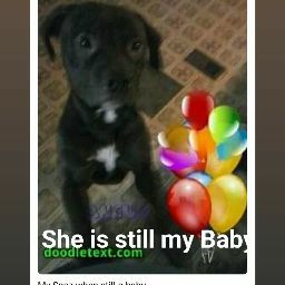 Linda Pollock Photo 29 Linda Pollock Photo 29